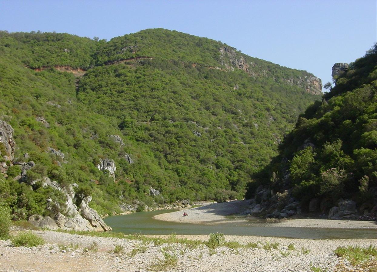 Taghzoute Caiat Lounge Refuge旅舍 外观 照片